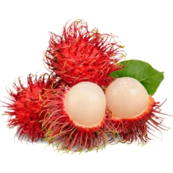 Aroy-D Rambutan frugter i Sirup