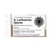 Aspergillus Luchuensis Koji Sporer 1,75g