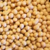 Økologiske Sojabønner Til Natto 1kg