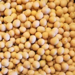 Økologiske Sojabønner Til Natto 1kg