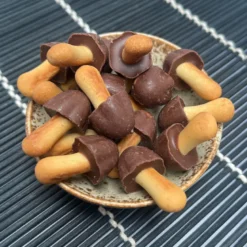 Meiji Kinoko no Yama Chokolade Kiks